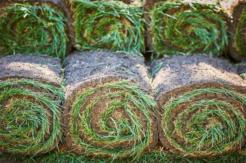 Why Low Turf-Miles Matter When Buying Fresh Turf for Dorset and Somerset Gardens
