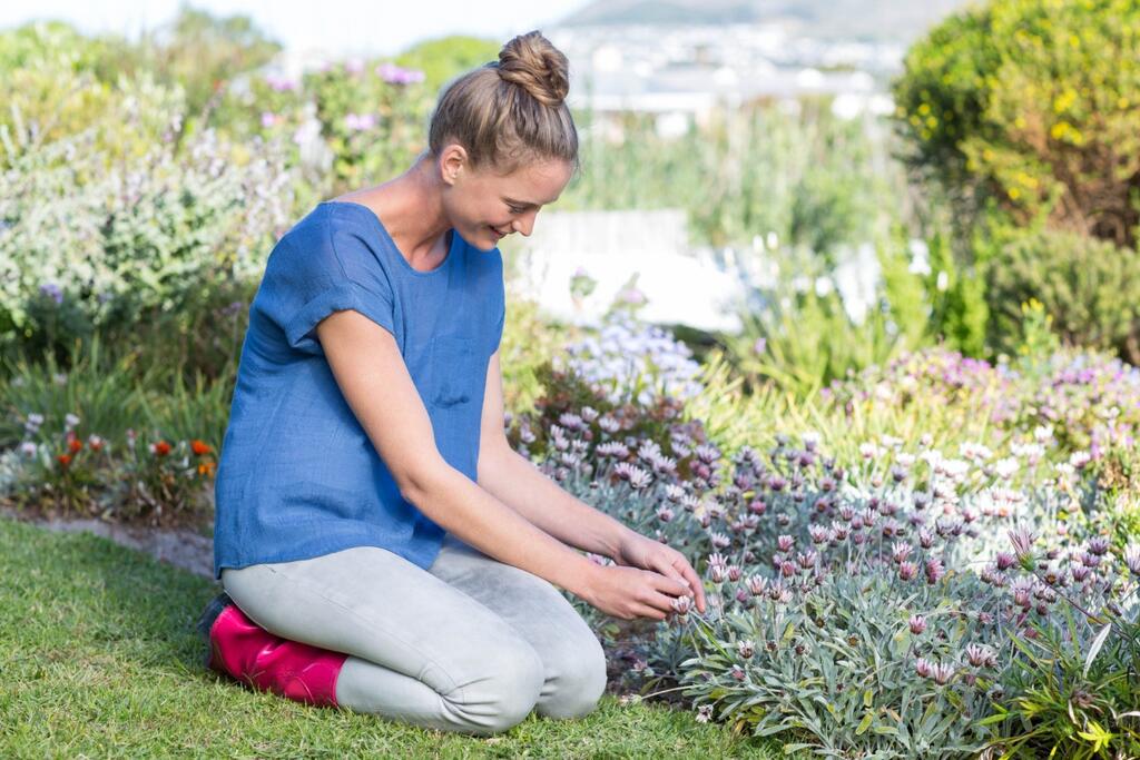 Wildflower Turf vs Standard Lawn: What Homeowners and Landscapers Need to Know