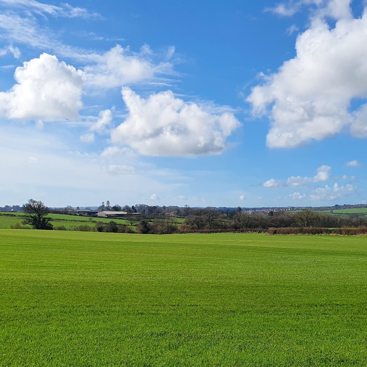 Lawns & Paddocks
