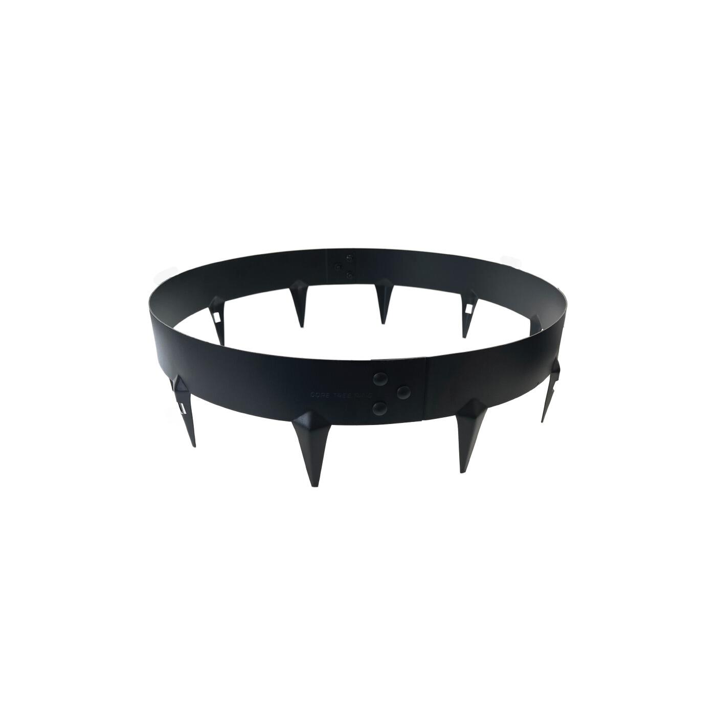 Black core tree ring