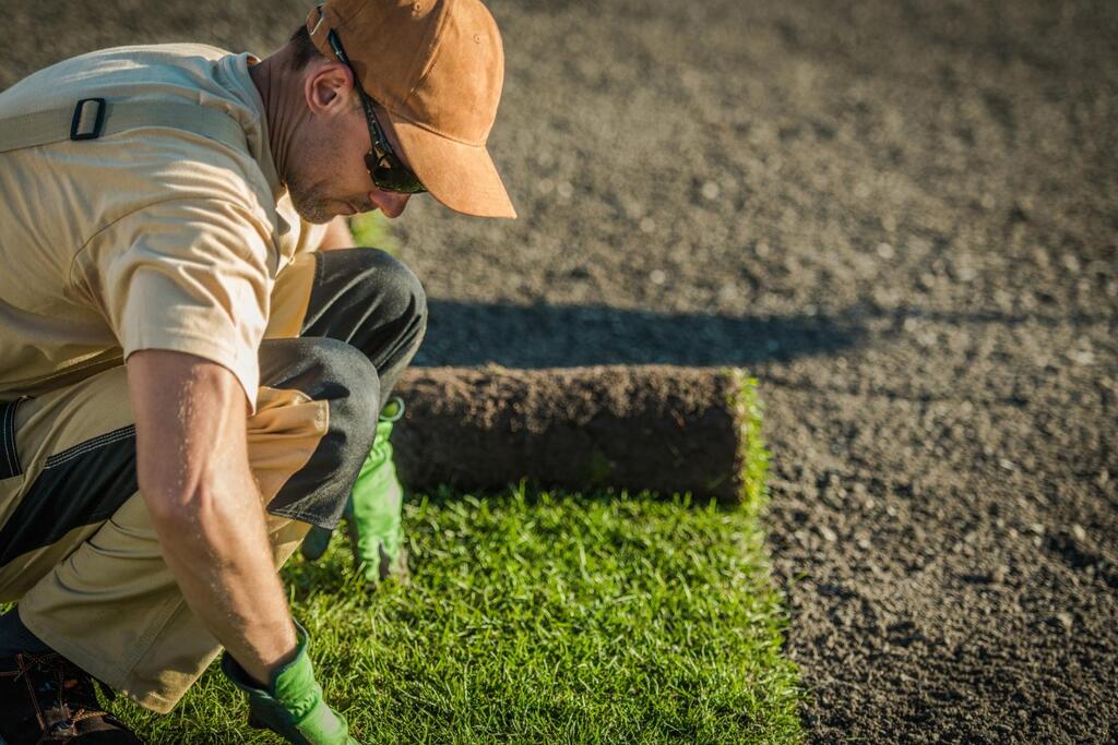 Fresh-Cut Turf Establishment: Why Freshness, Soil Contact and Timing Matter