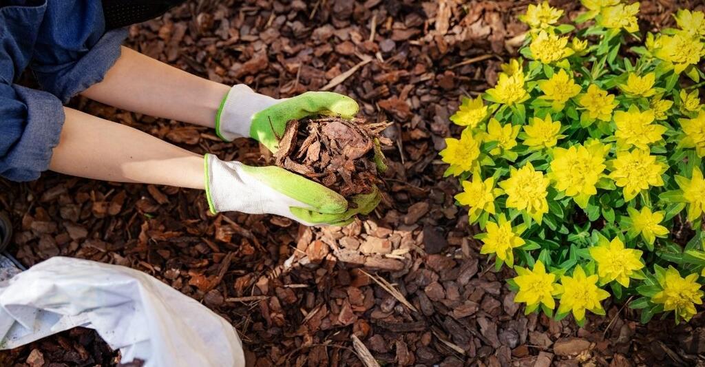 Benefits of Bark Mulch in a Garden