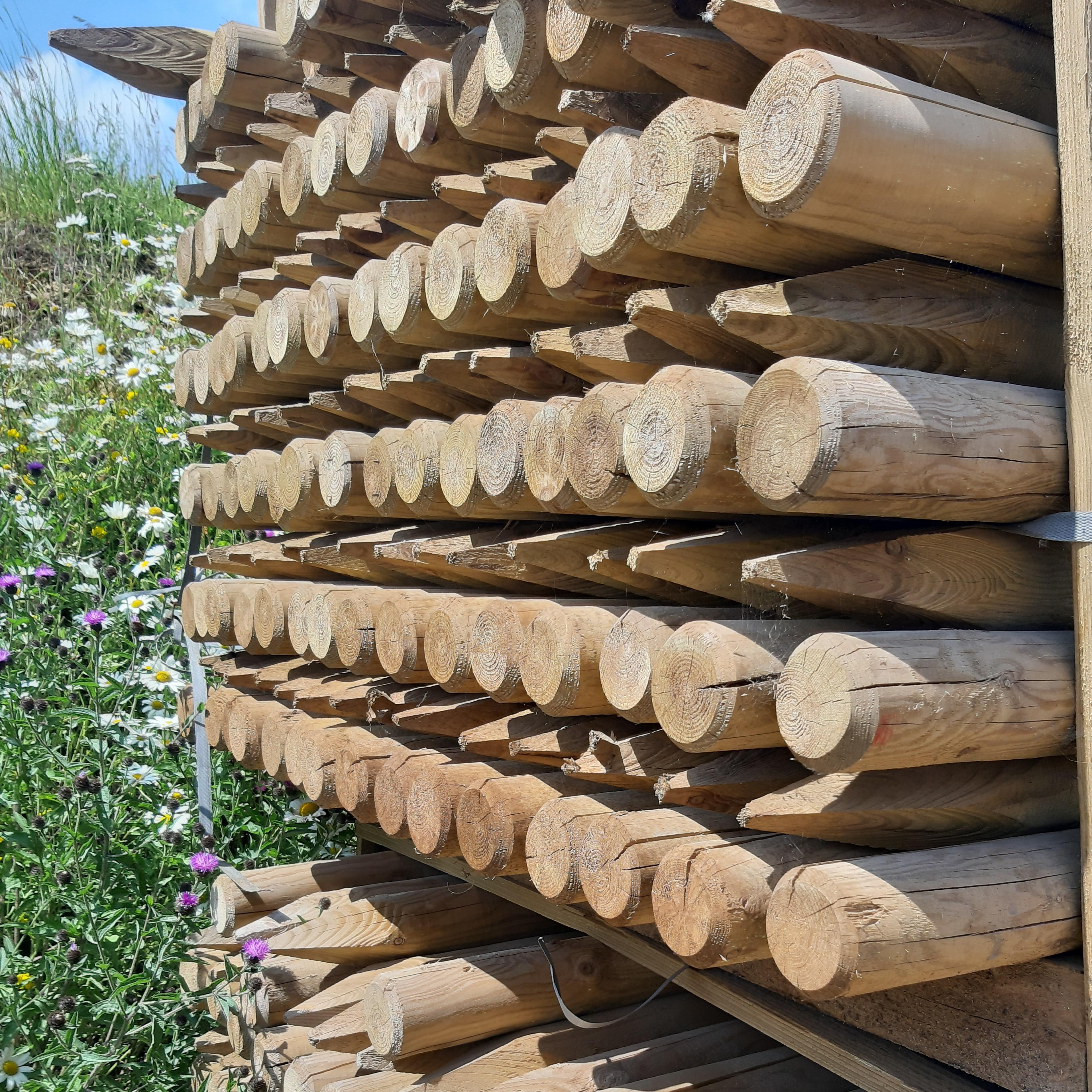 wooden tree stakes