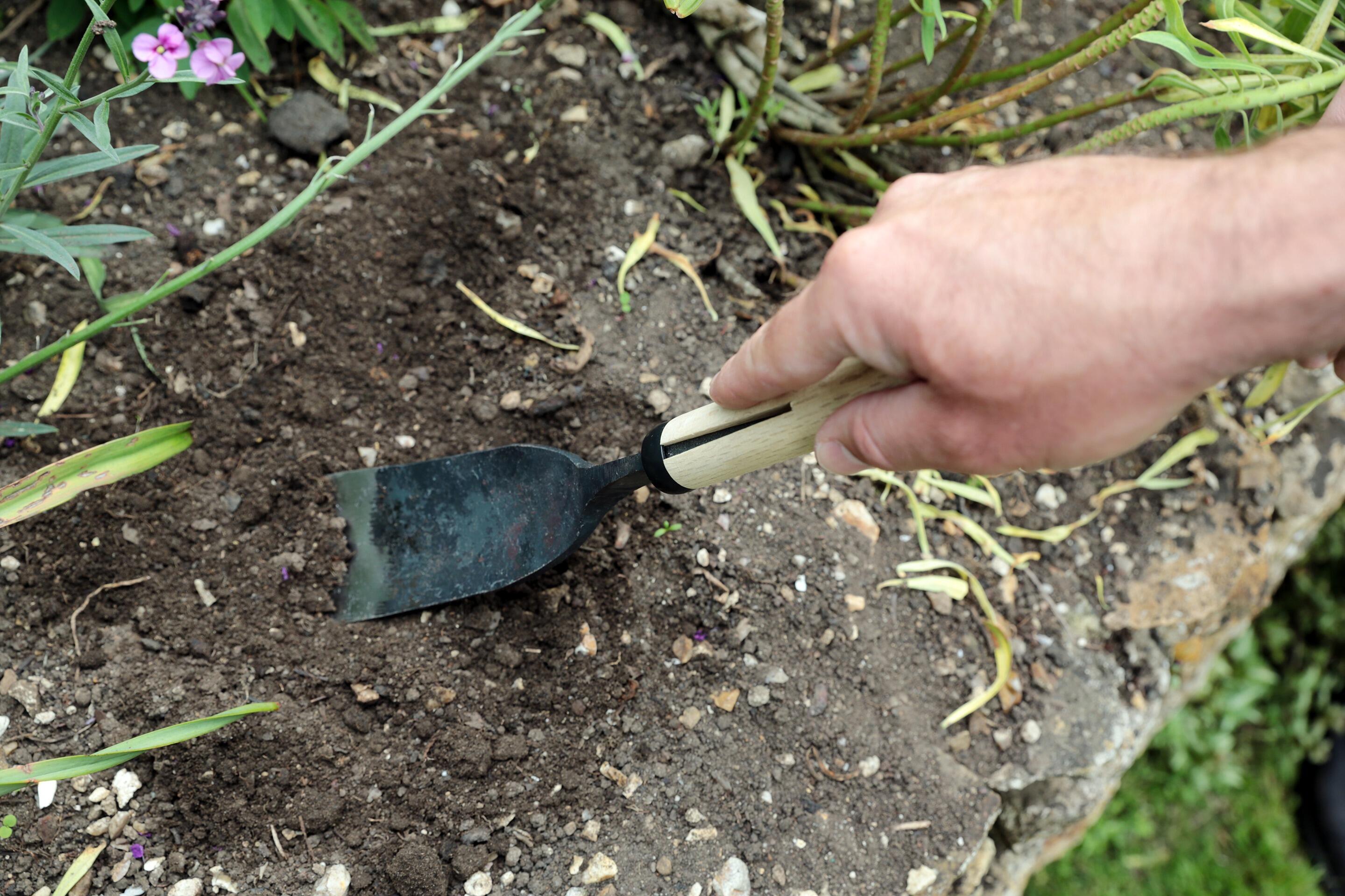 Planting