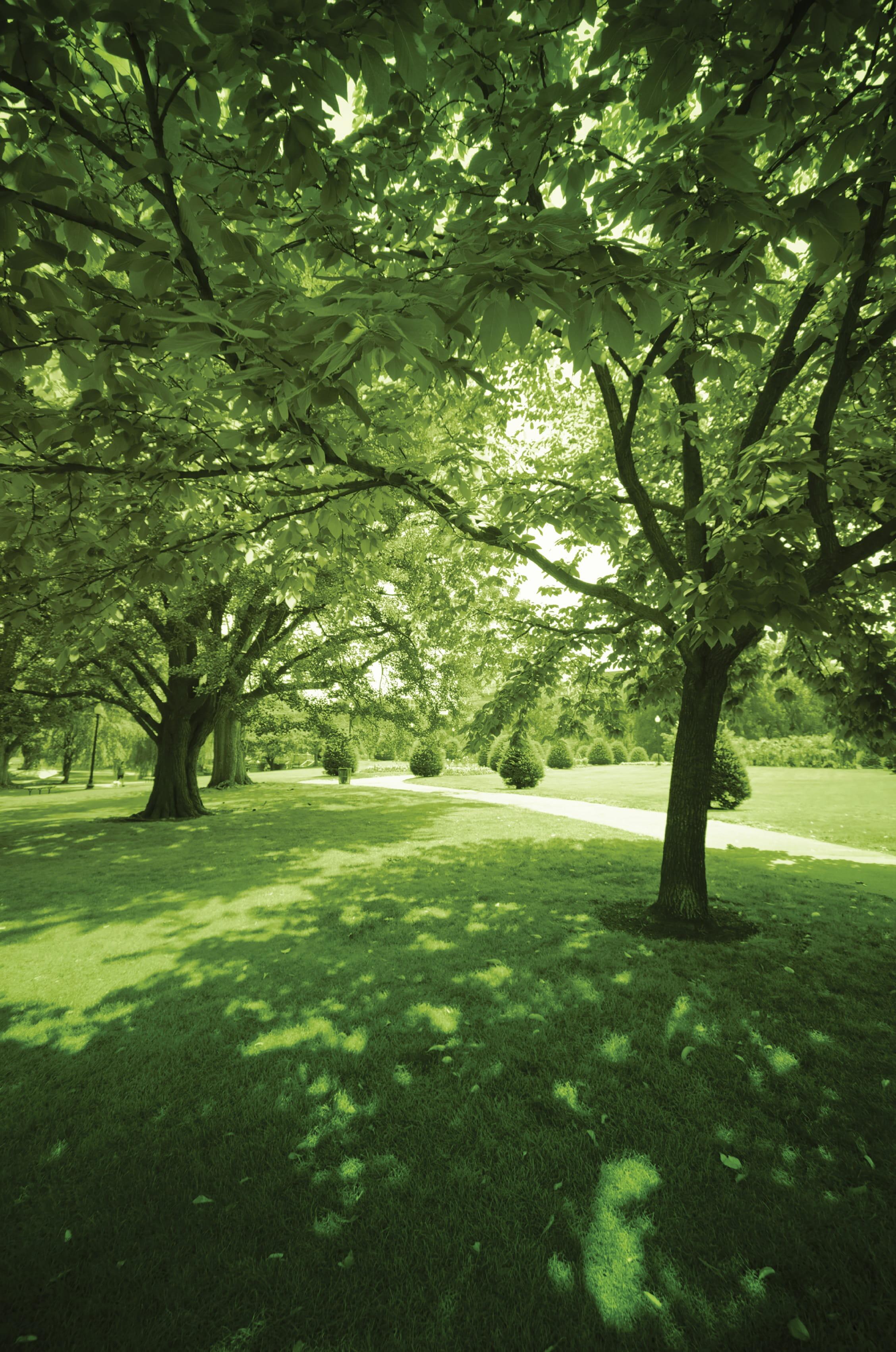 Sports & Landscapes