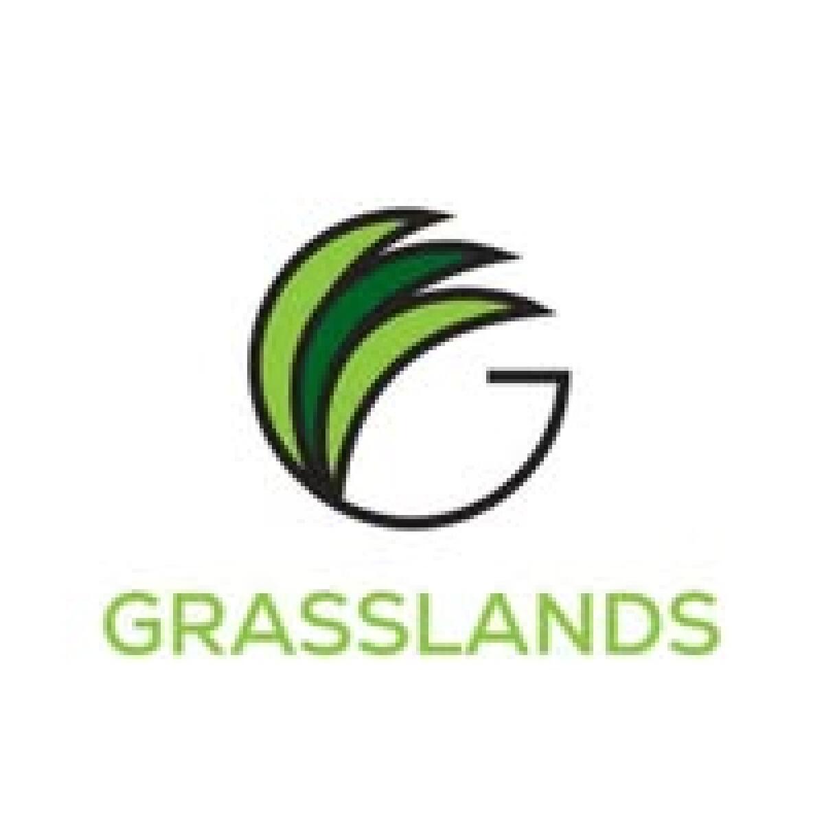 Grasslands-turf