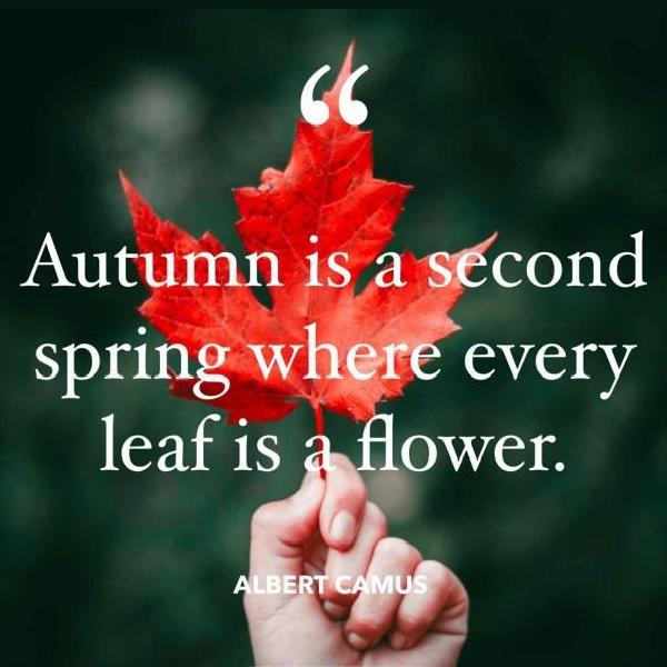 Welcome Autumn!