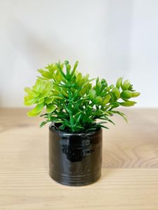 mini faux plant in black pot