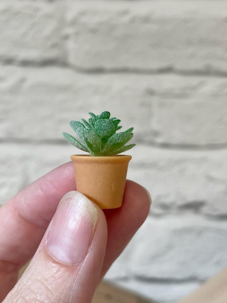 miniature dollhouse plant