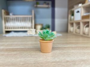 miniature dollhouse plant