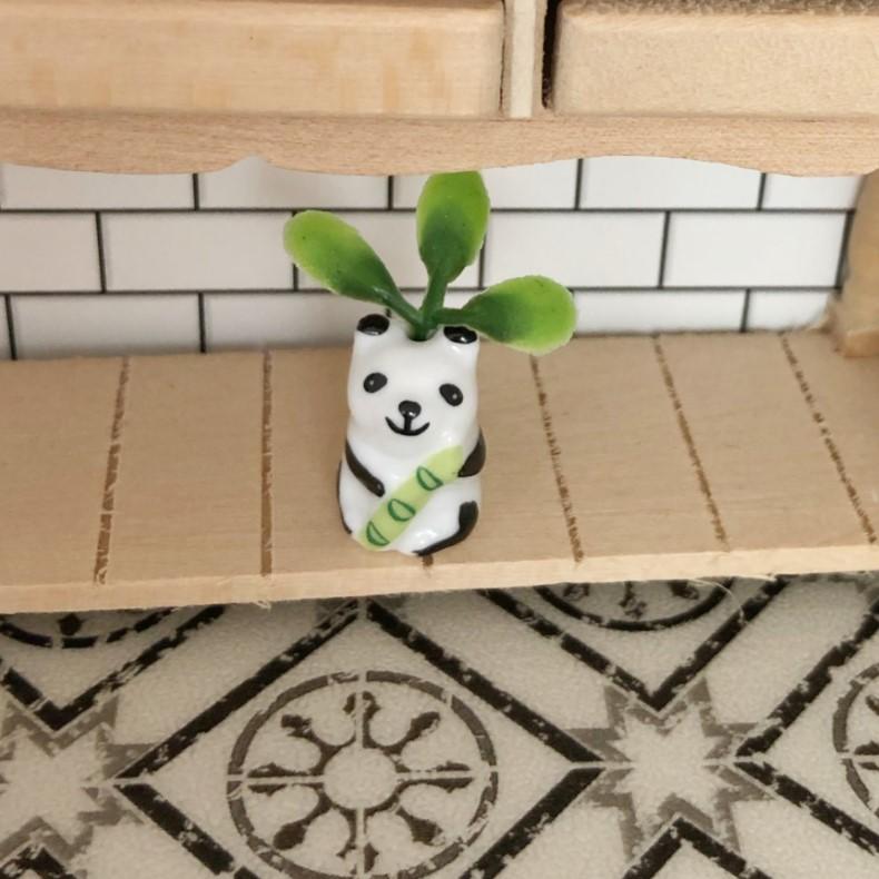 panda plant, miniature dollhouse plant