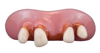 Billy Bob Teeth Jethro