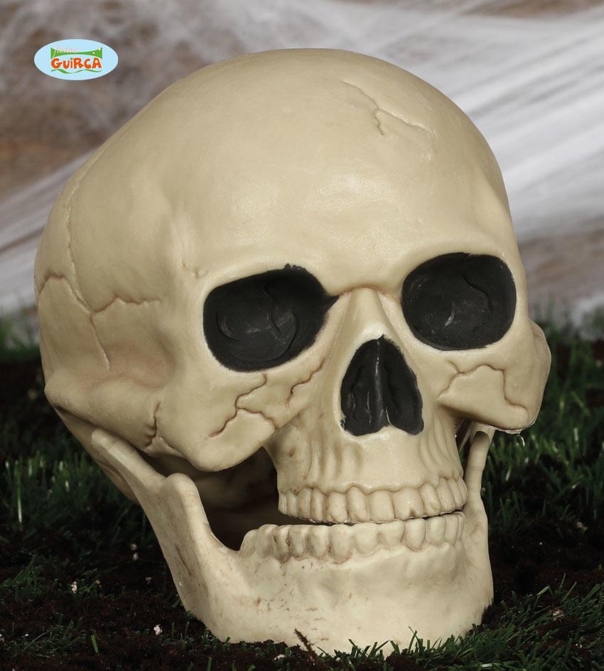 Fake Skull Prop 20cm