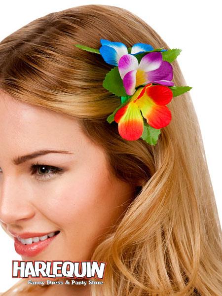 Hawaiian Hair Clip Rainbow