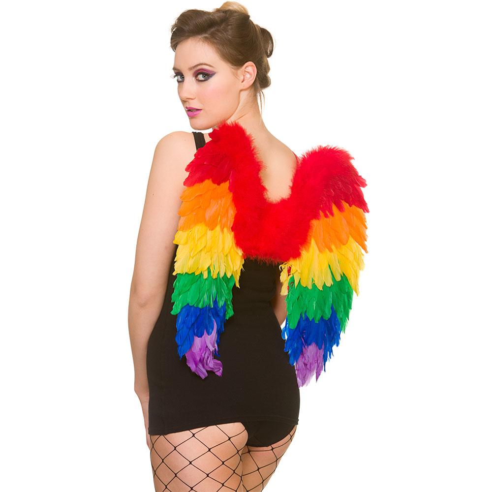Rainbow Feather Wings 50cm