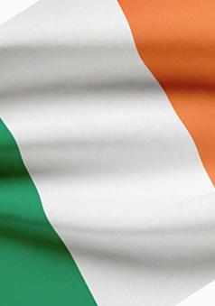 Irish Party