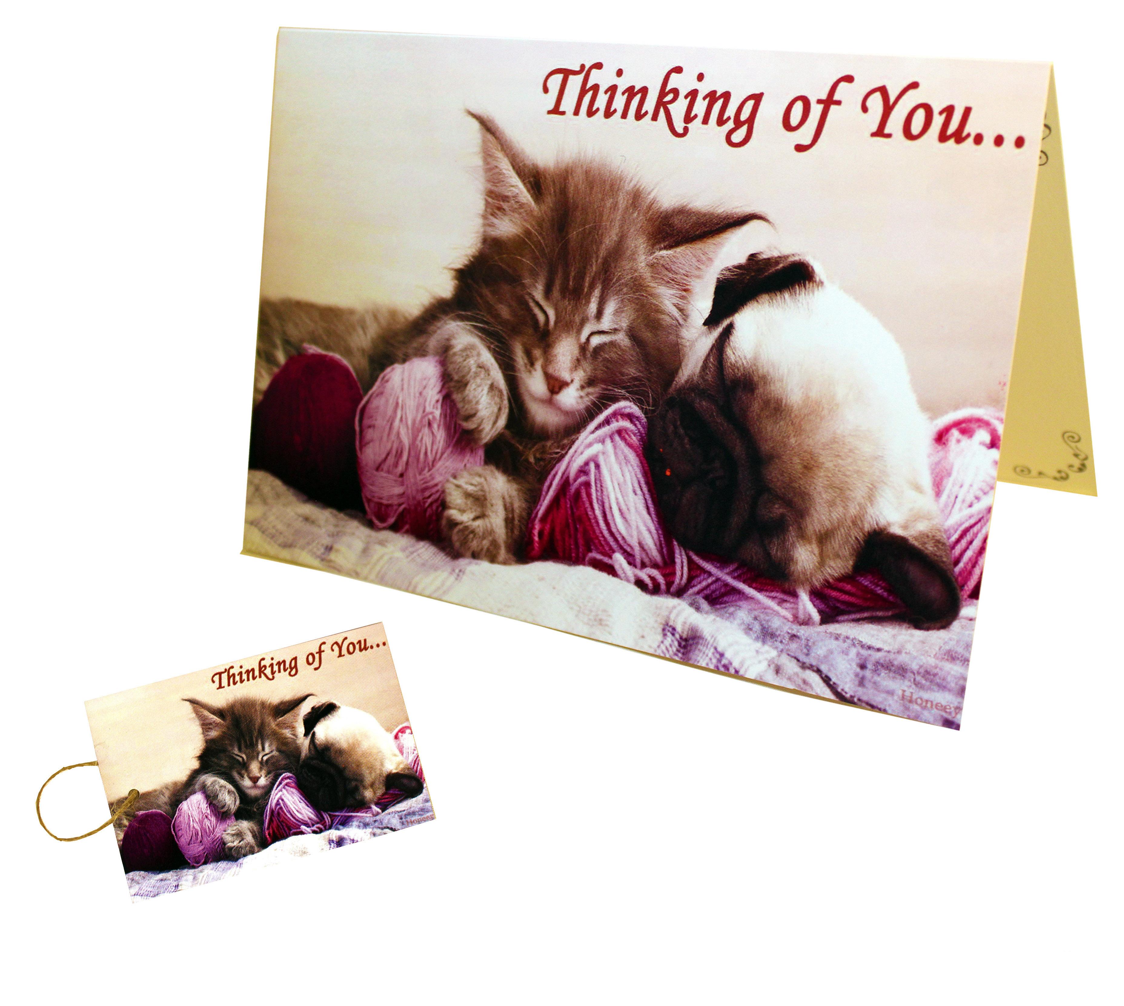 Cat and Dog Greeting Card with gift tag