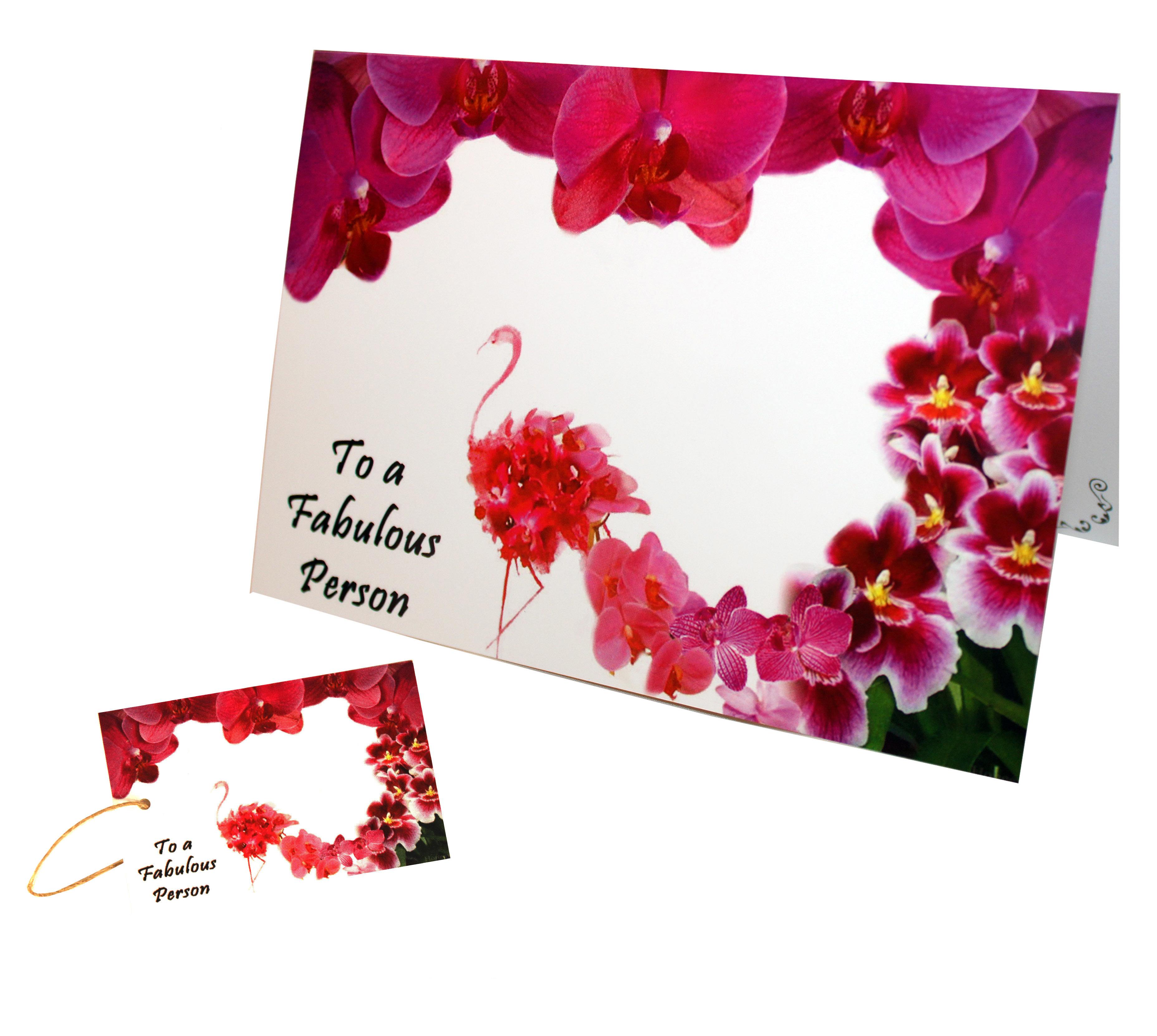 Flamingo Orchid Greeting Card with gift tag