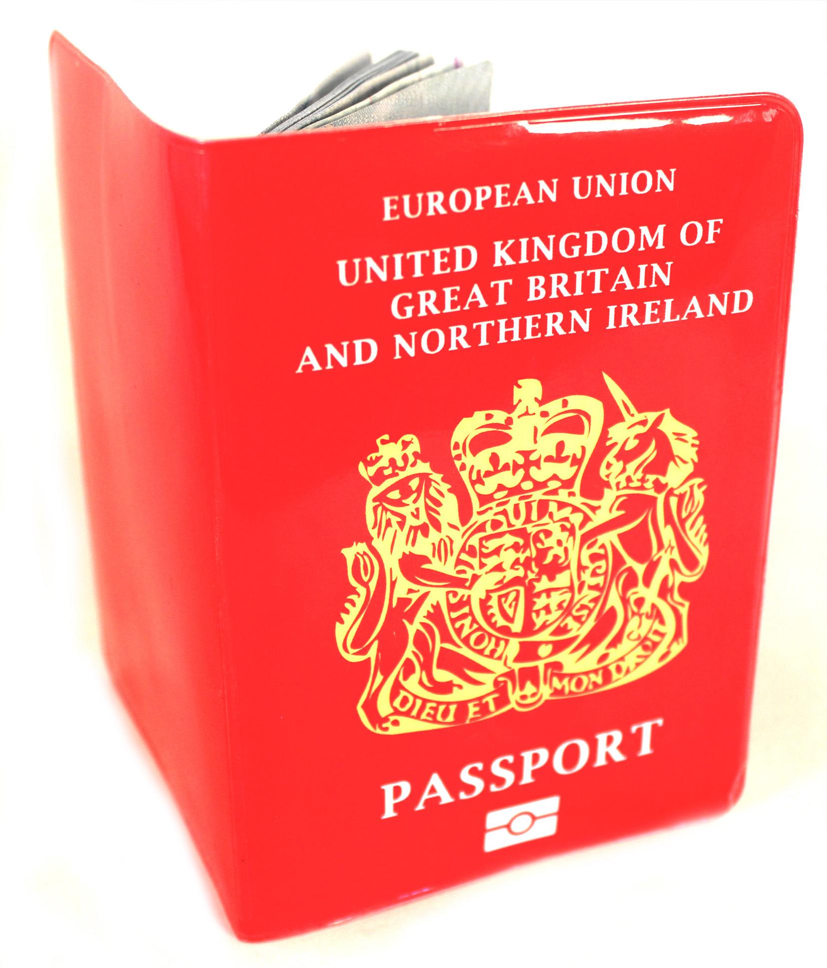 UK Pink Passport Cover