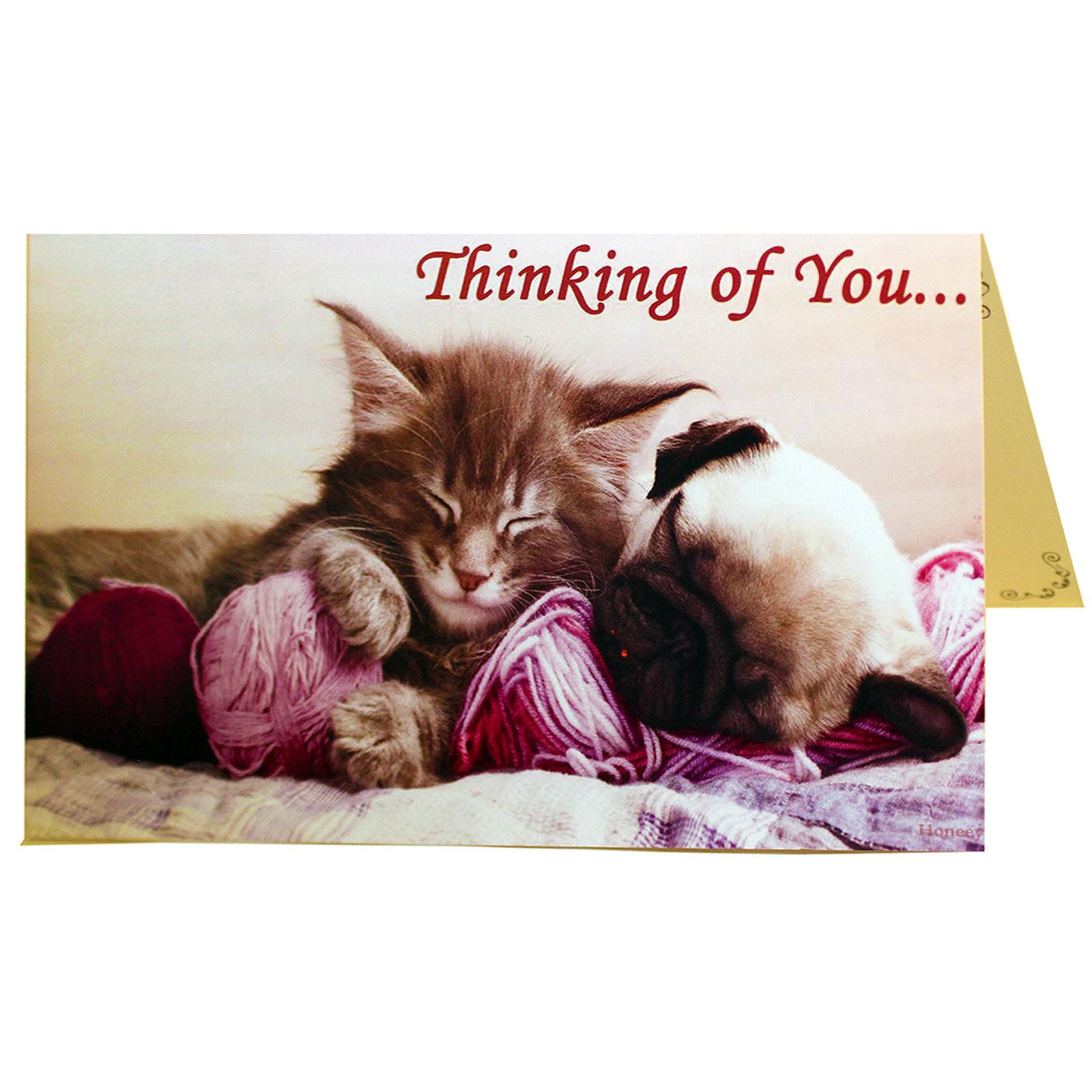 Cat and Dog Greeting Card