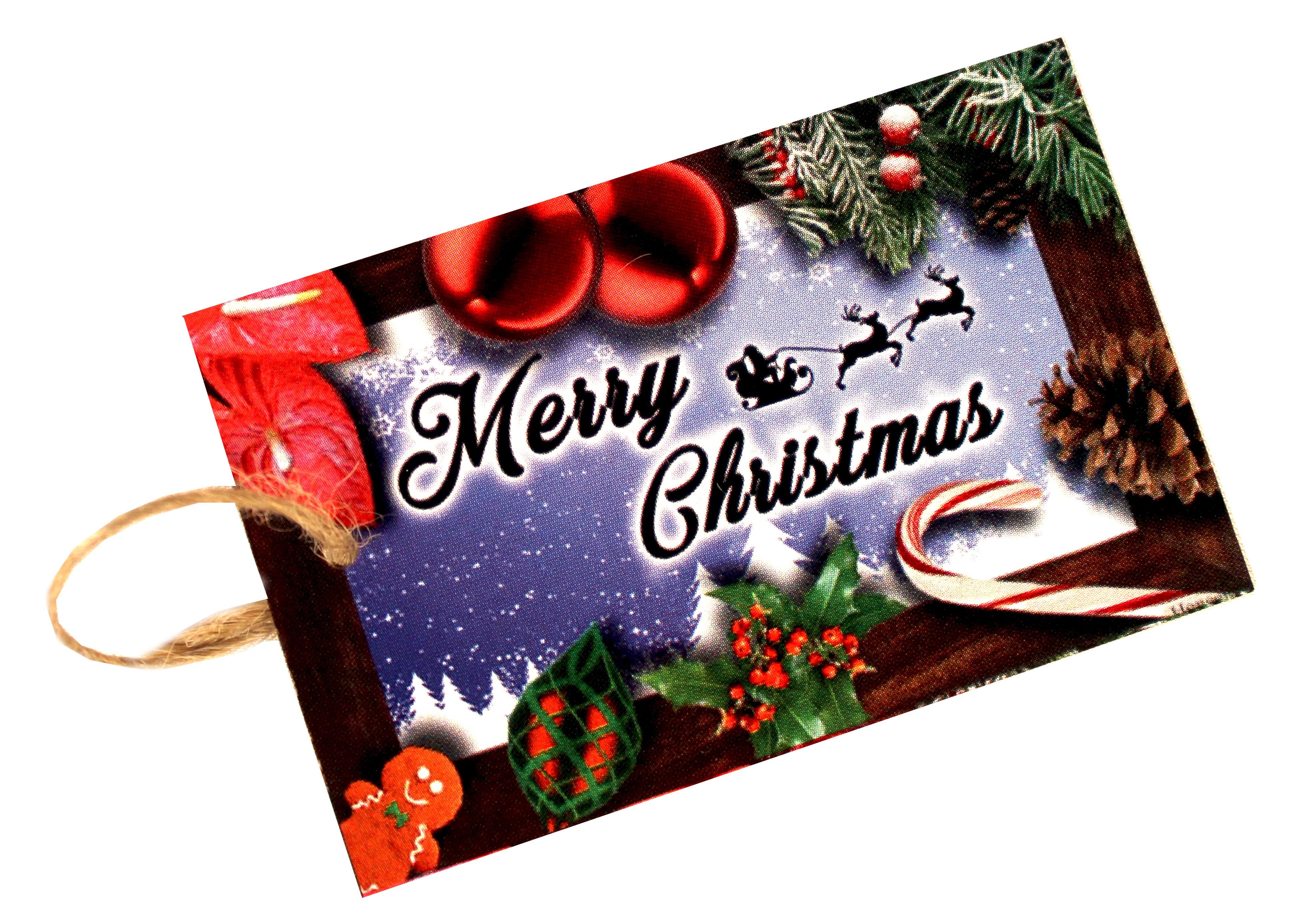 Merry Christmas Xmas Gift Tags individual with string