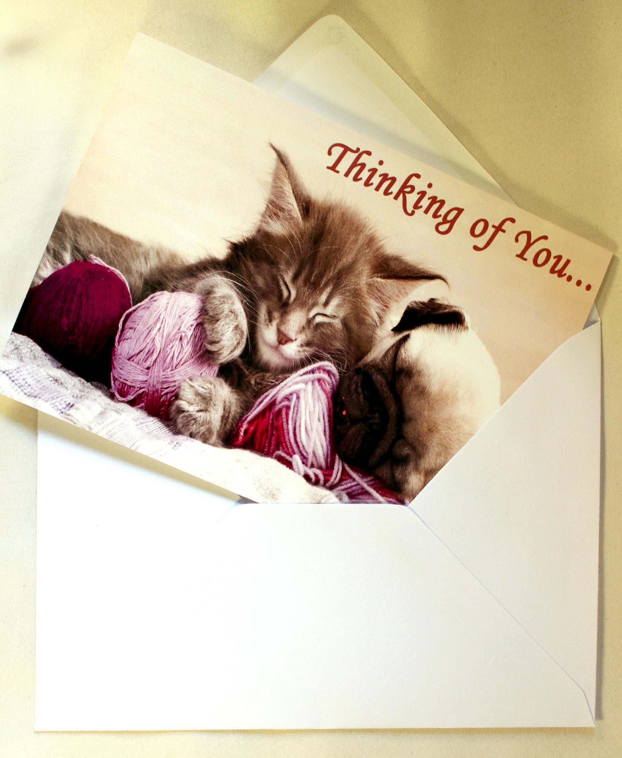 Cat and Dog Greeting Card in gummed envelope