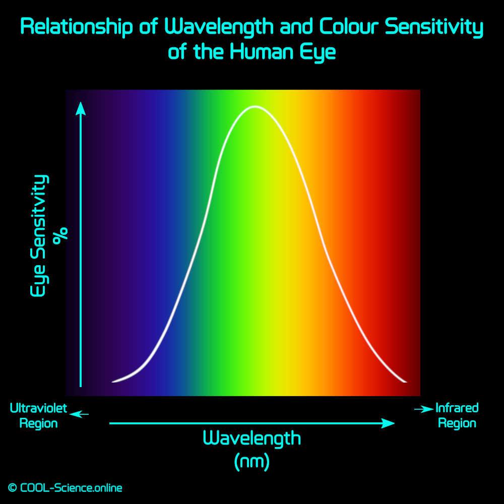 The Fascinating Science of Color Perception