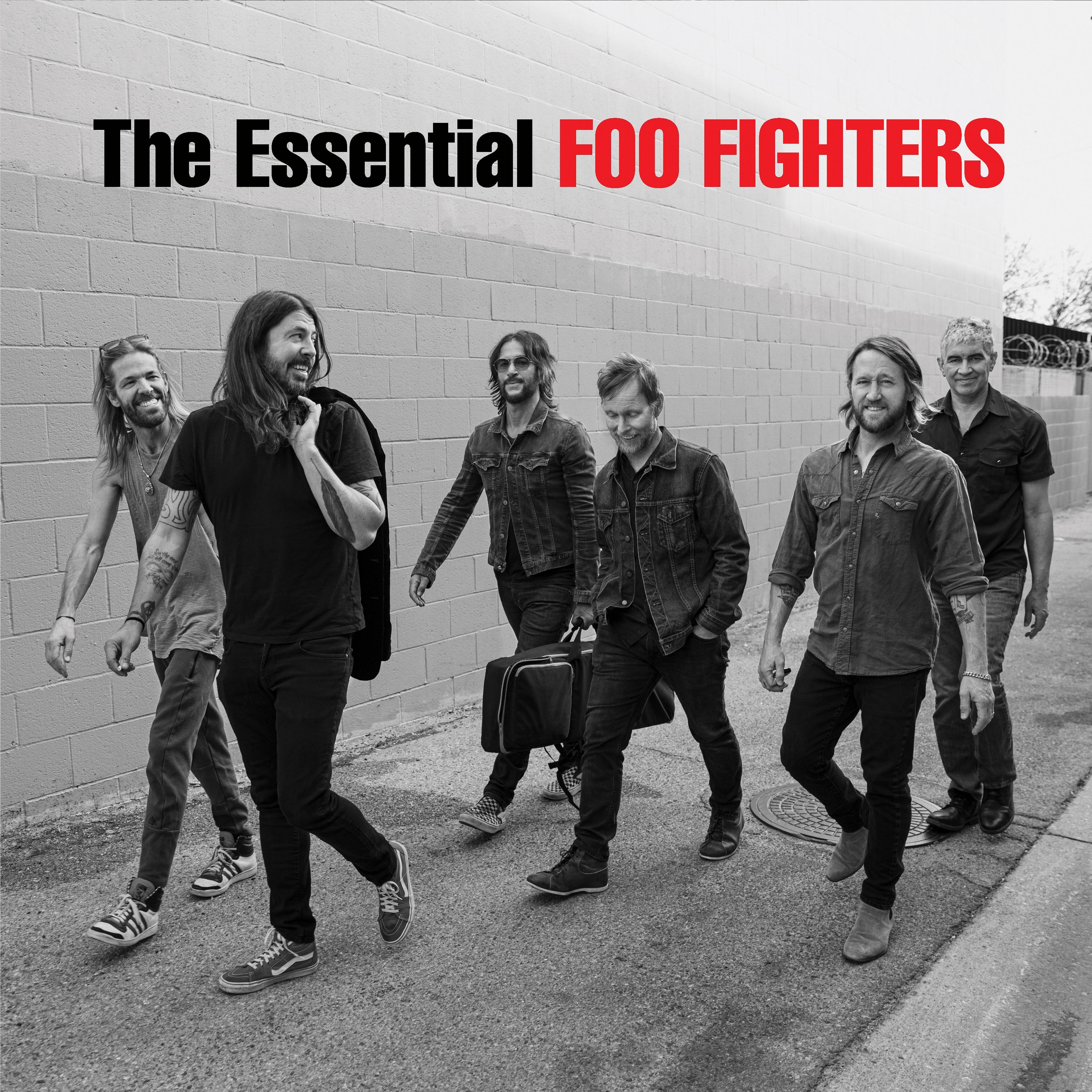 FOO FIGHTERS The Essential Foo Fighters Double Vinyl LP