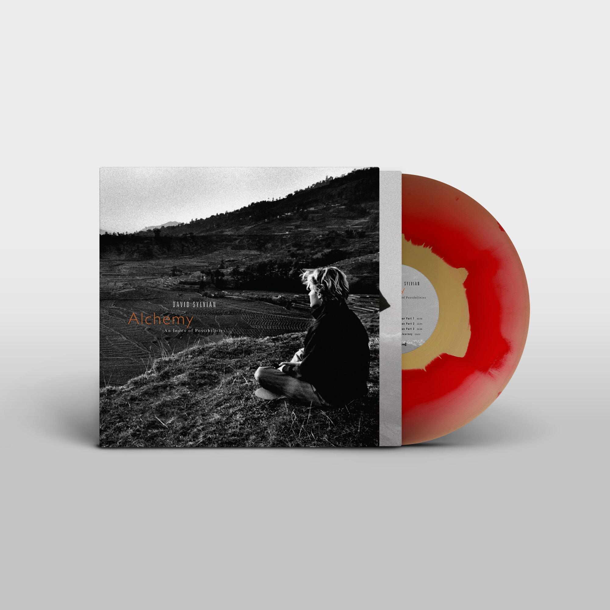ARTIFACTS - Between A Rock And A Hard Place - Double Vinyl LP