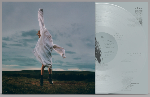 deary - Birding - Transparent Pale Blue Vinyl LP
