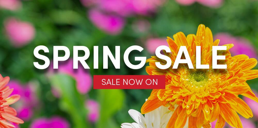 Spring Sale