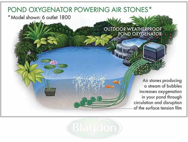 Blagdon Pond Oxygenator 1800 Air Pump Diagram