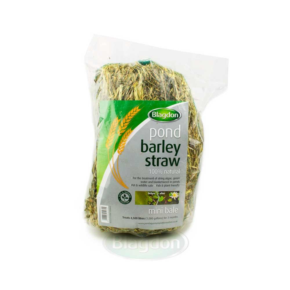 Blagdon Barley Straw Mini Bale - 1054645