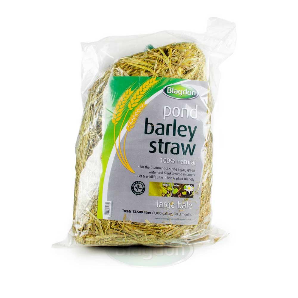 Blagdon Barley Straw Large Bale - 1054669