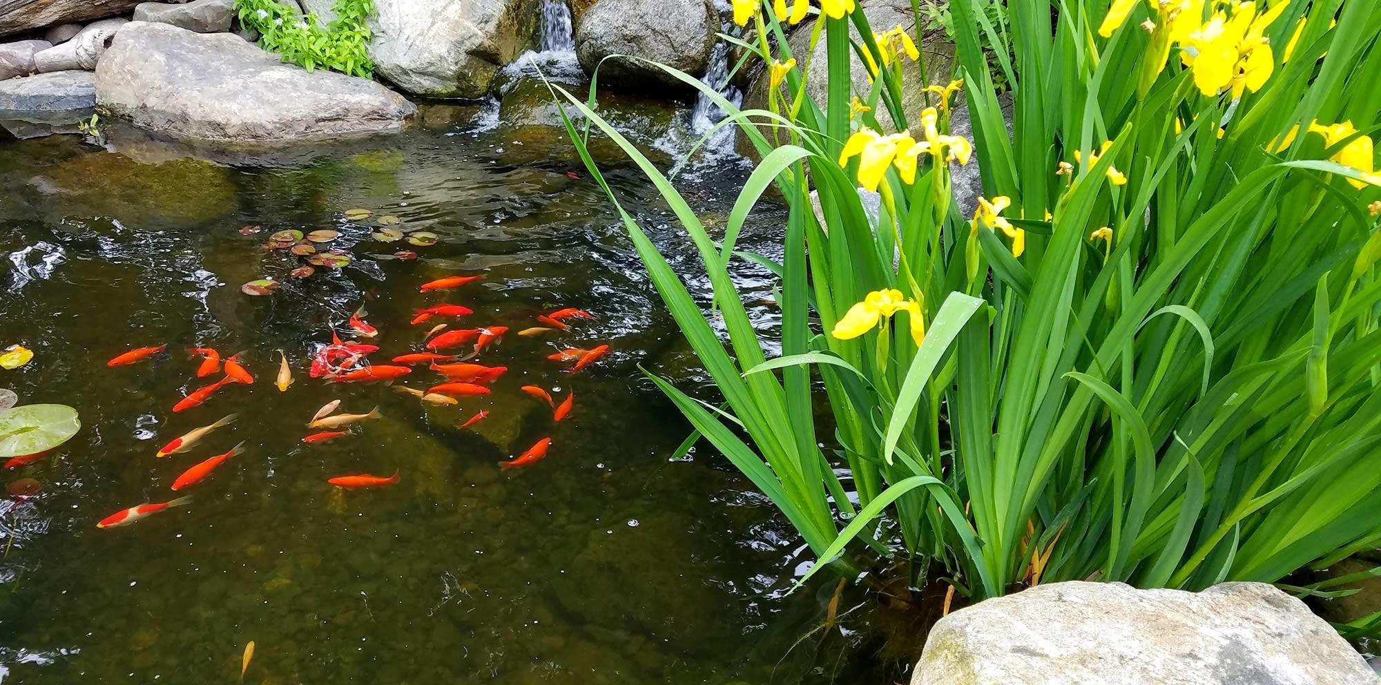 Easy Garden Watering Garden Watering Systems