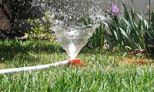 Busting The Biggest Garden Irrigation Myths