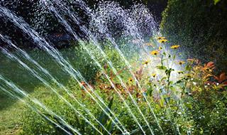 The Benefits of a Garden Irrigation System