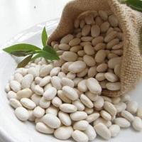 Cannellini (White Kidney) Beans