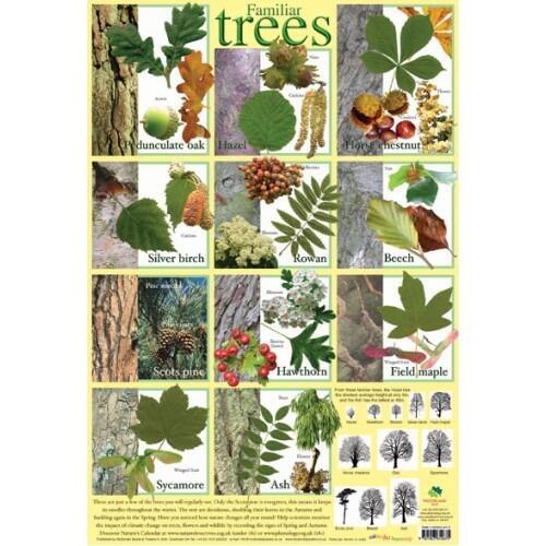 Animal & Nature Classroom Posters | Charts: Animals, Reptiles, Wildlife, Trees, Minerals & More