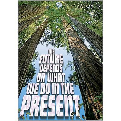 School Topic Resources | Eco/Environment Teacher Stickers, Posters, Class Display & More