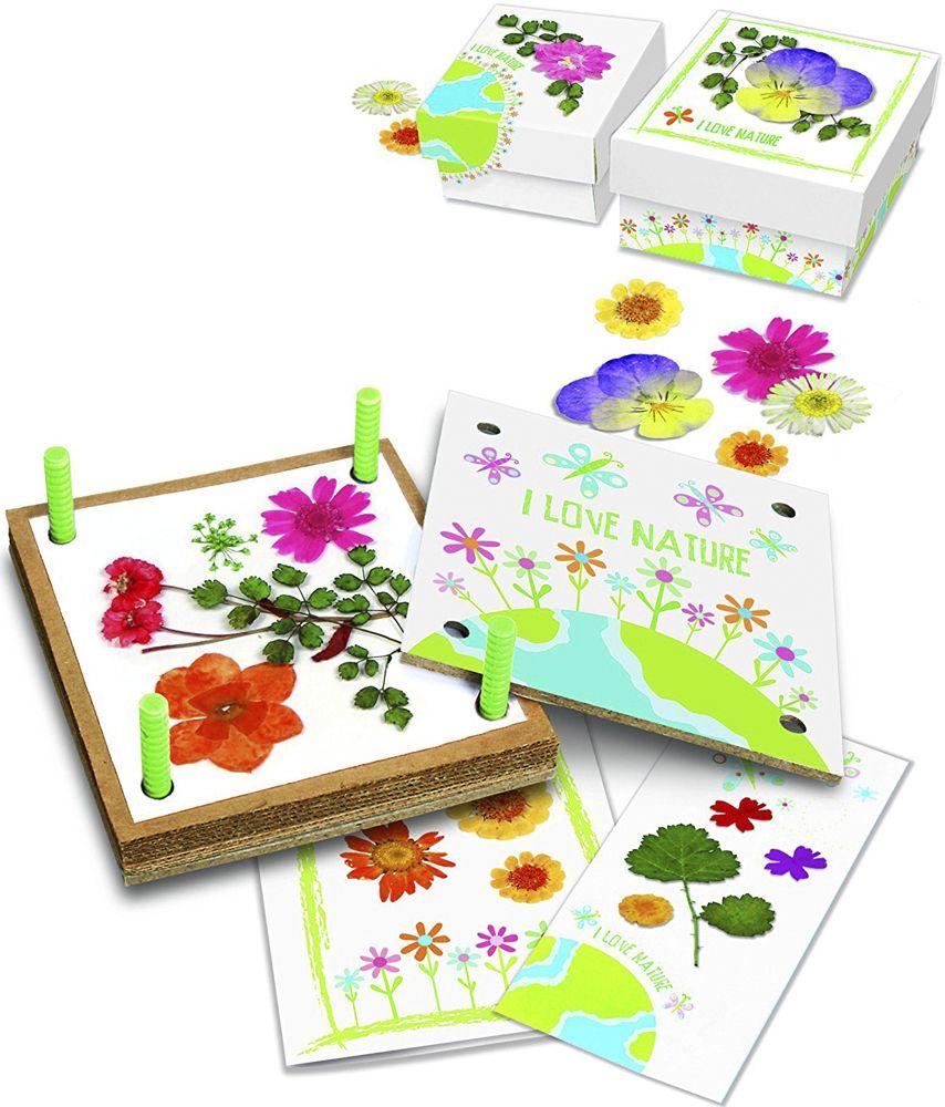 4M Green Creativity Pressed Flower Art