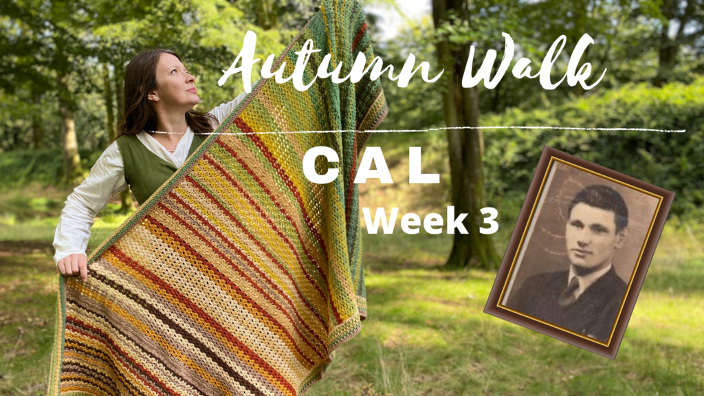 Autumn Walk Blanket CAL: Week 3 - Finding the Fungi & Toadstools