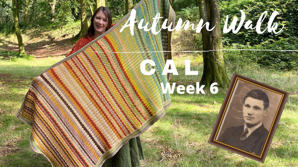 Autumn Walk Blanket CAL: Week 6 - The Border