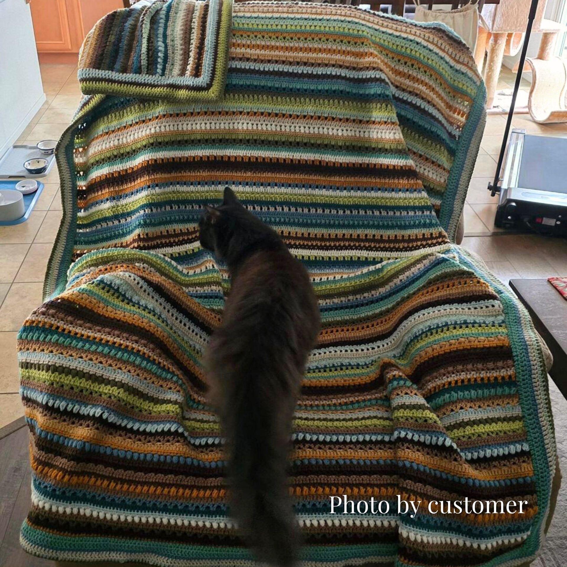 Lizzie blanket over chair with cat climbing on the blanket