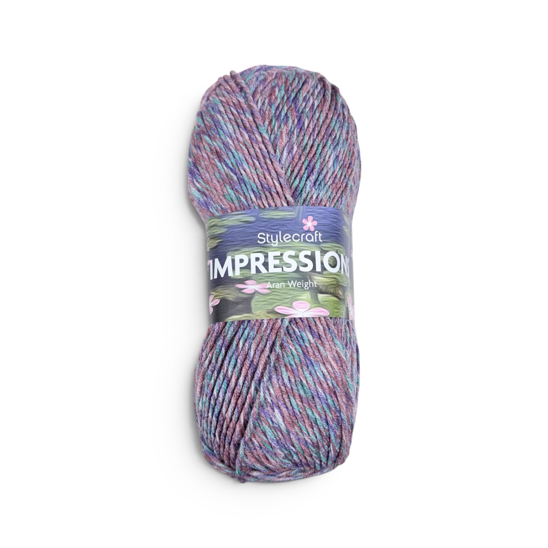 Ball of Stylecraft Impressions Aran in the colour Bazille 5412