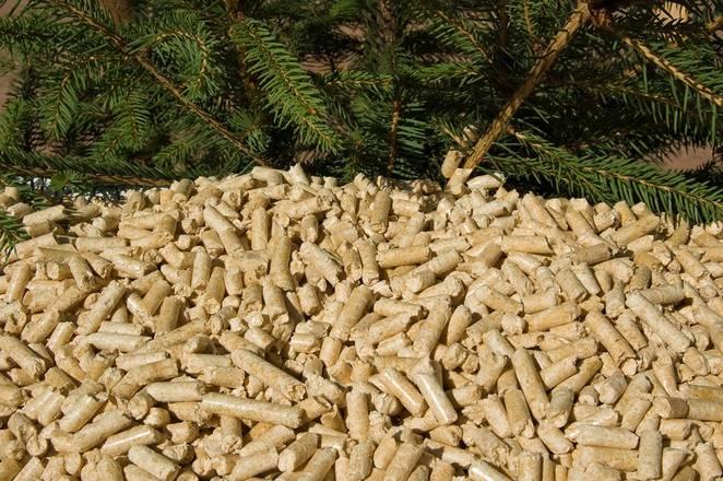 Wood pellets with pine trees