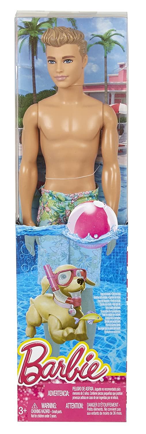 Barbie Beach Ken Doll Assortment13