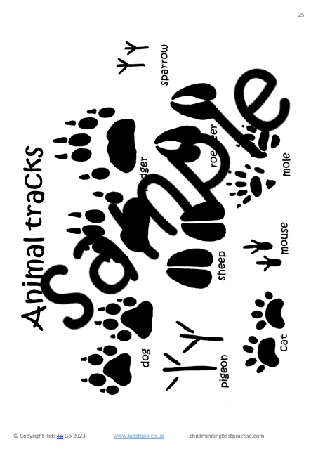 Sample Animal Tracks poster from Forest Childcare - More Ideas for All Year Round