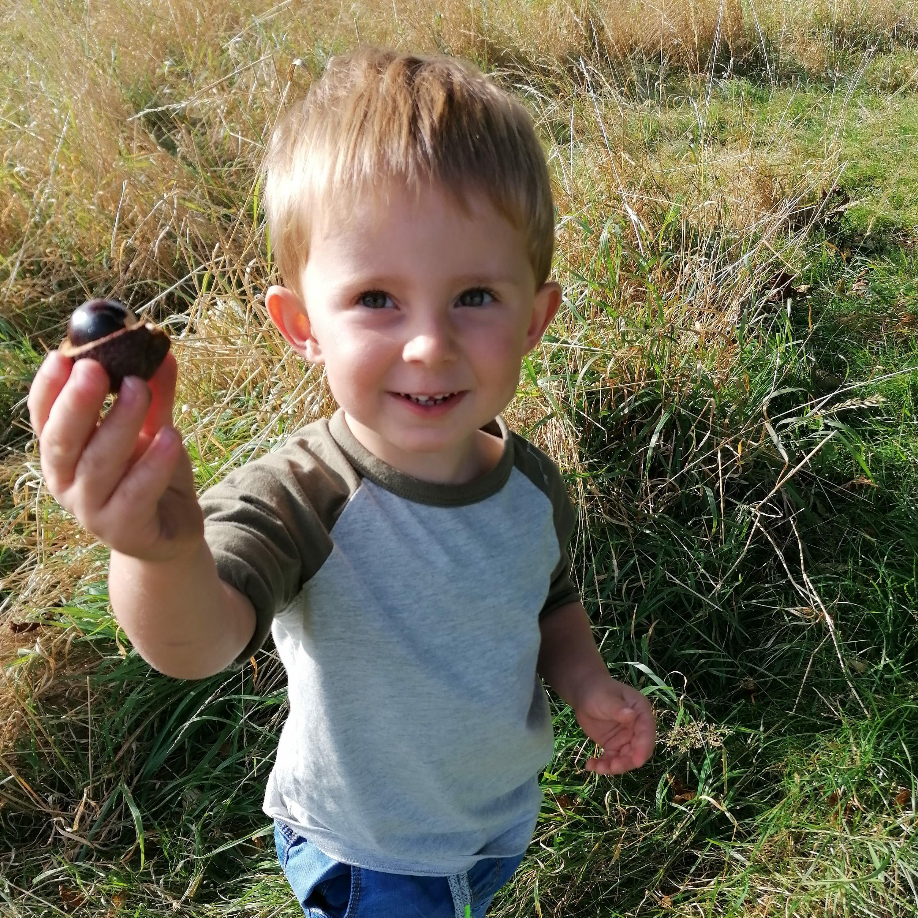 Child exploring conkers on a Forest Childcare Association outing