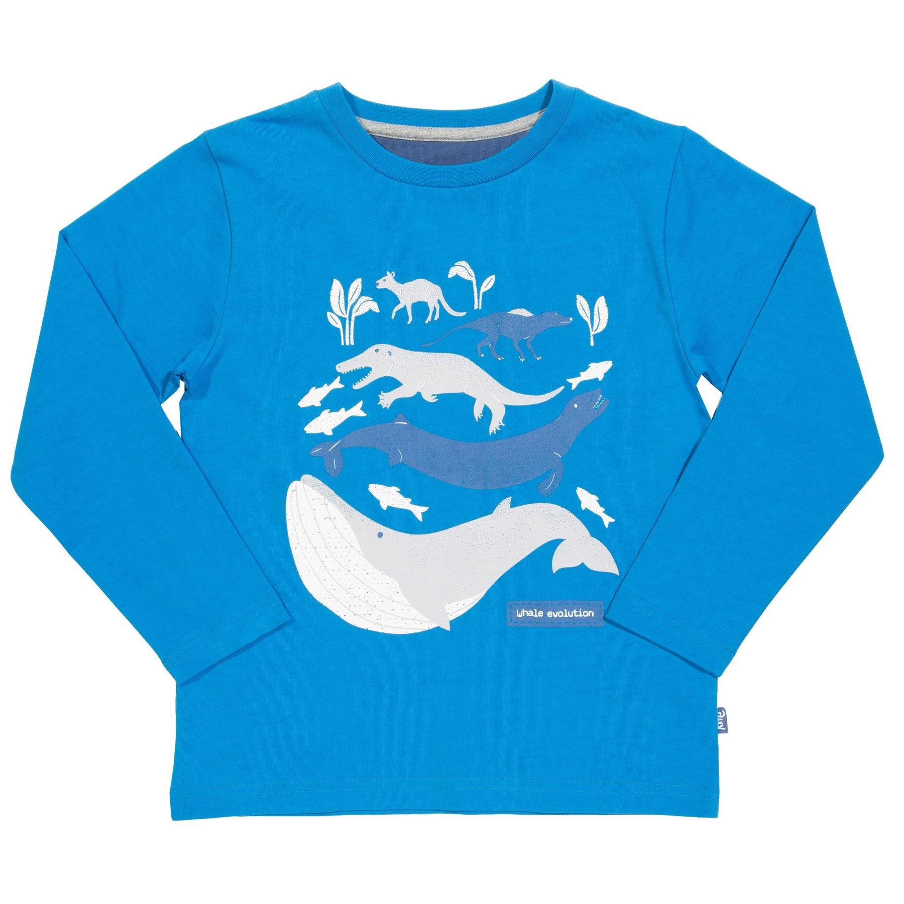 Kite Clothing Whale Evolution T-Shirt front